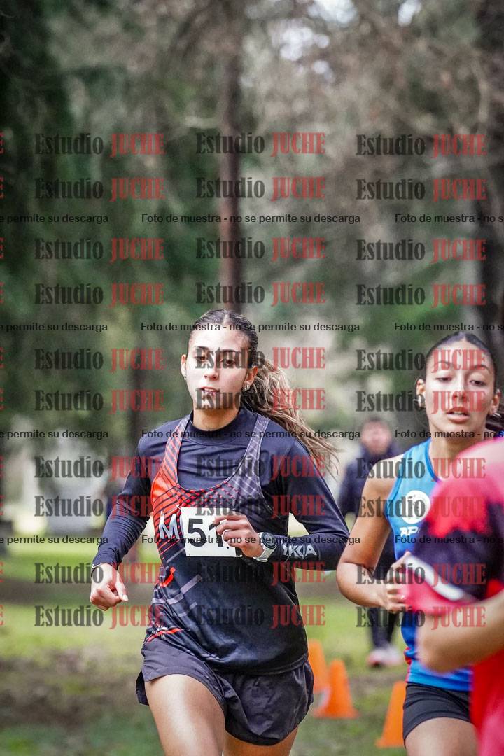 Fotos en el circuito