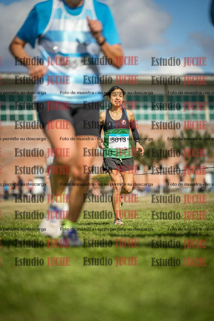 Fotos en el circuito