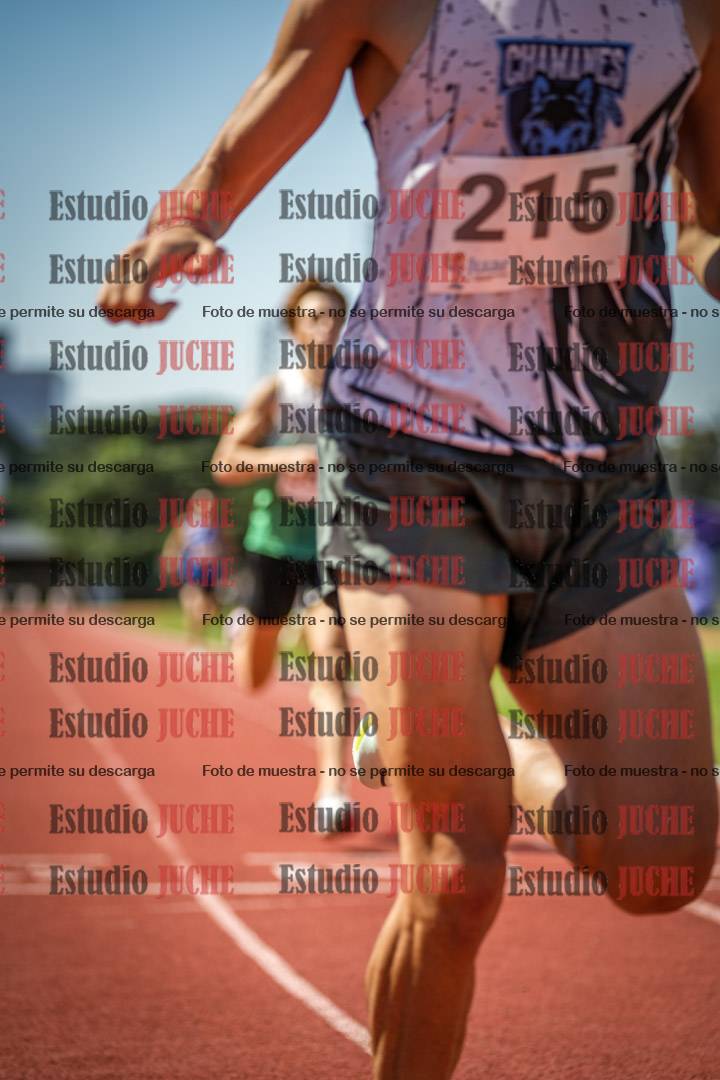 Fotos de los 800 m llanos de varones