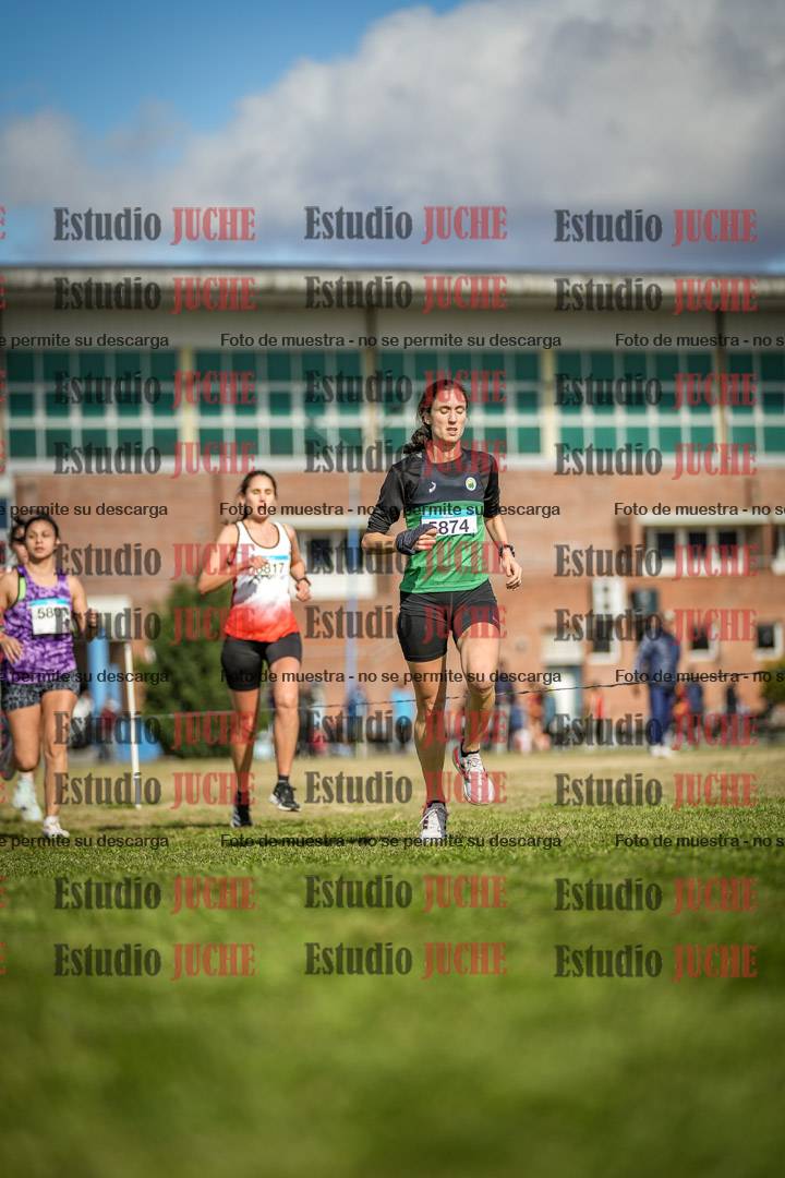 Fotos en el circuito