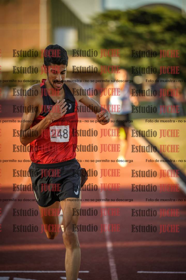 Fotos de los 3000 m llanos de varones