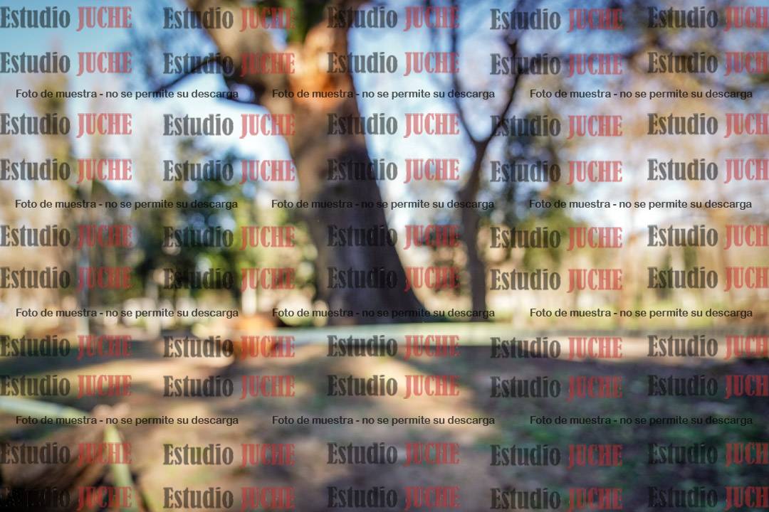 Fotos en el sexto punto del circuito