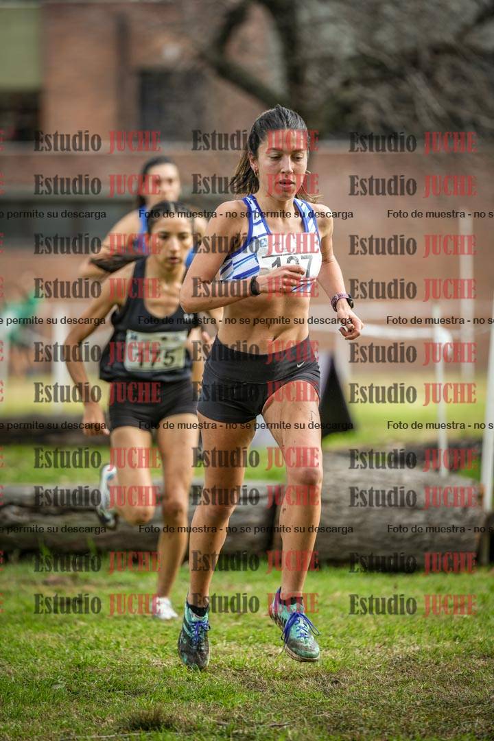 Fotos en el circuito