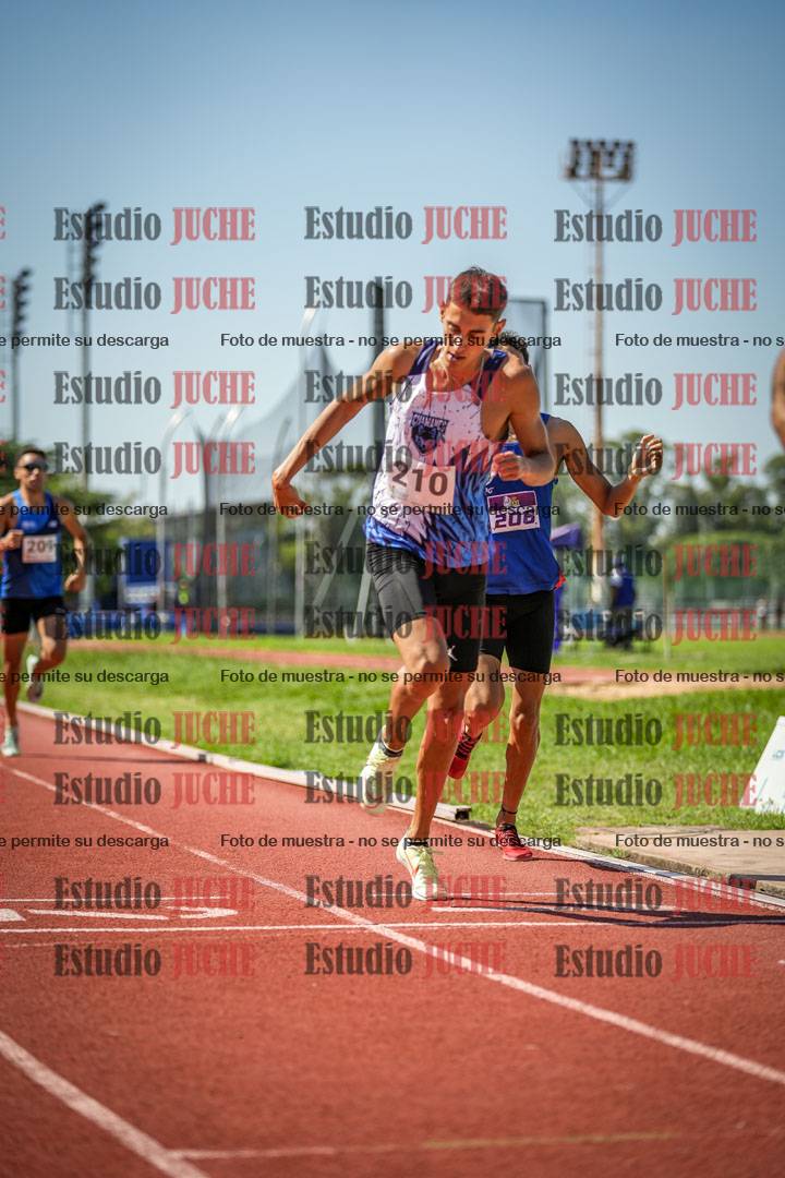 Fotos de los 800 m llanos de varones
