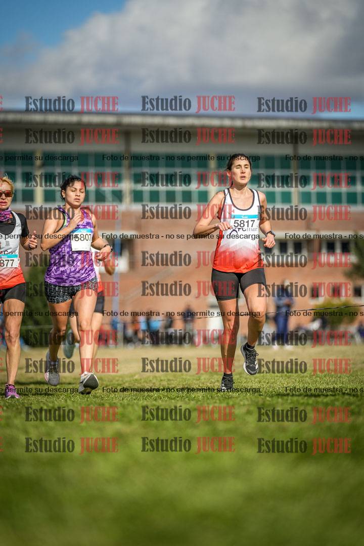 Fotos en el circuito