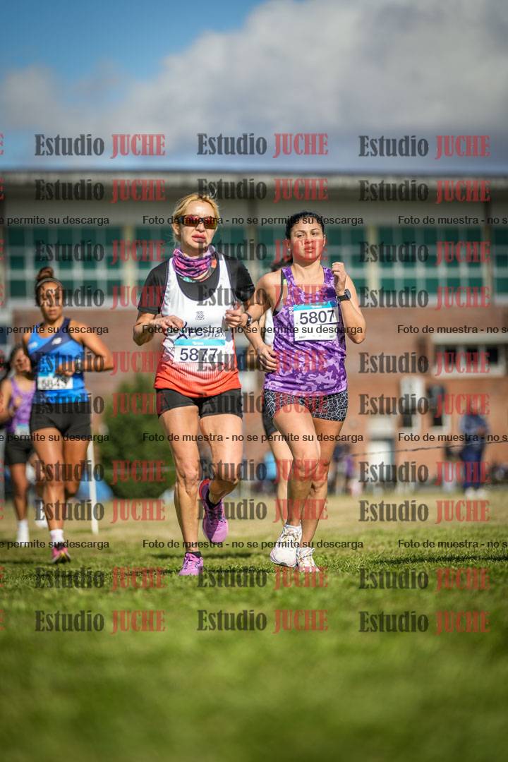 Fotos en el circuito