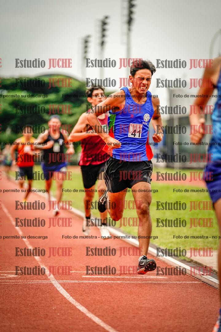 Fotos de los 800 m de varones