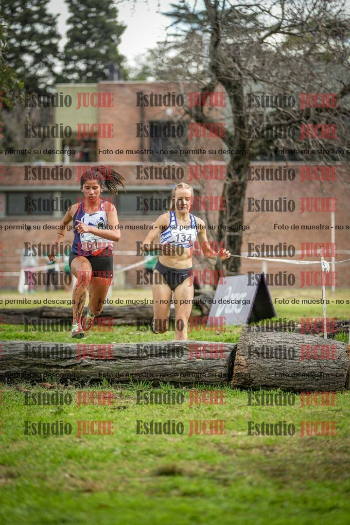 Fotos en el circuito