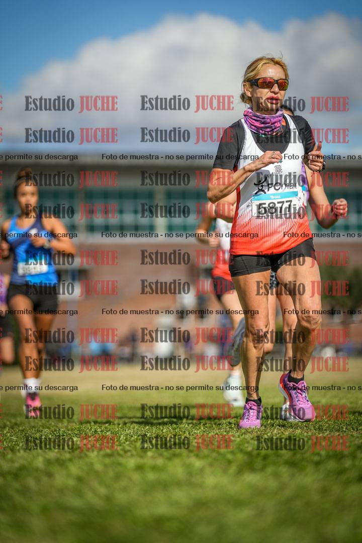 Fotos en el circuito