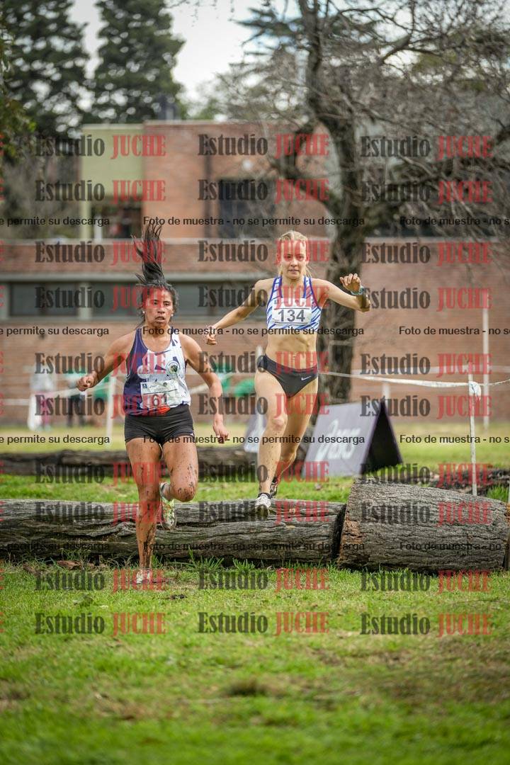Fotos en el circuito