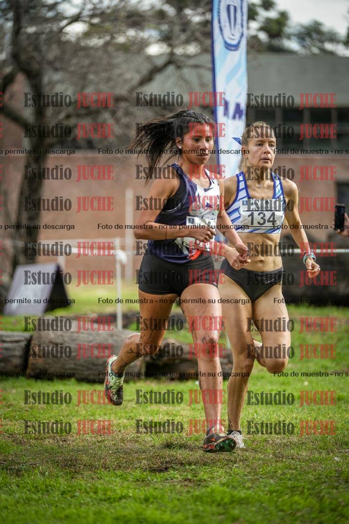 Fotos en el circuito