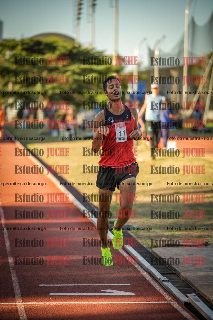 Fotos de los 3000 m llanos de varones