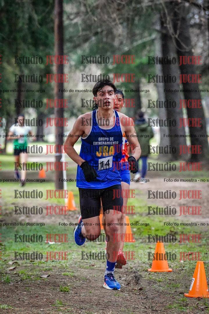 Fotos en el circuito