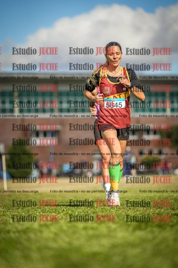 Fotos en el circuito