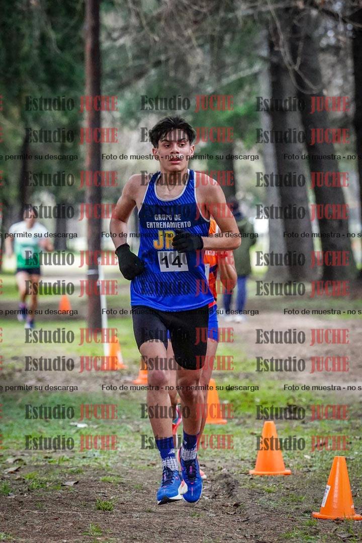 Fotos en el circuito