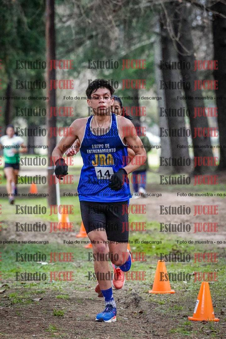 Fotos en el circuito