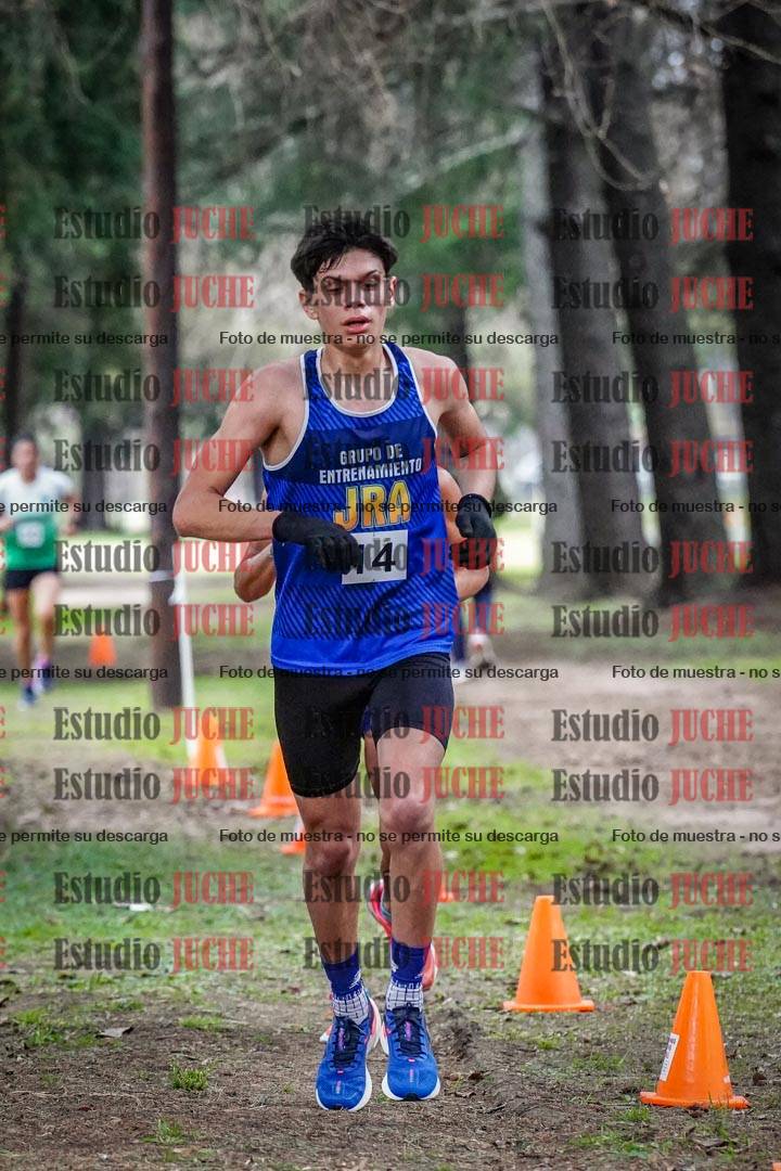 Fotos en el circuito