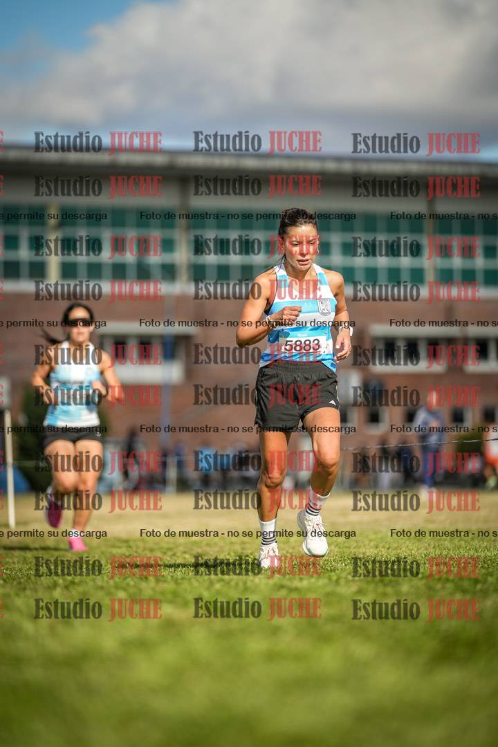 Fotos en el circuito