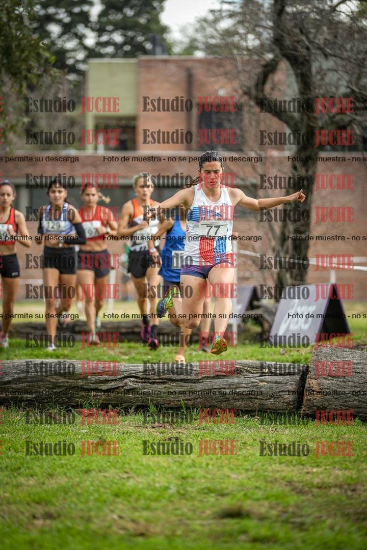 Fotos en el circuito