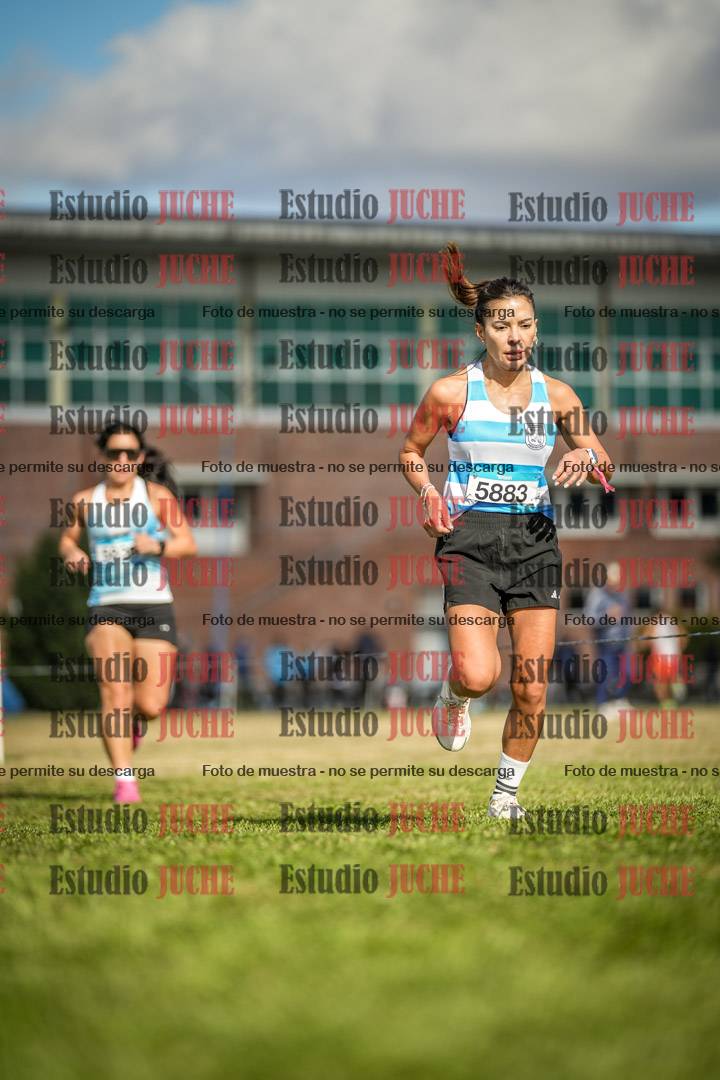 Fotos en el circuito