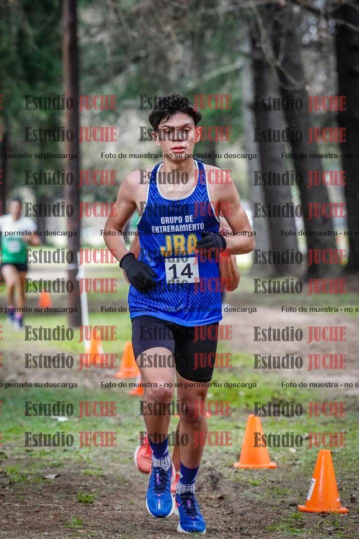 Fotos en el circuito