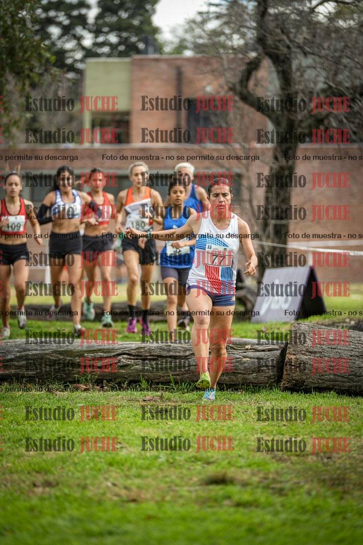 Fotos en el circuito