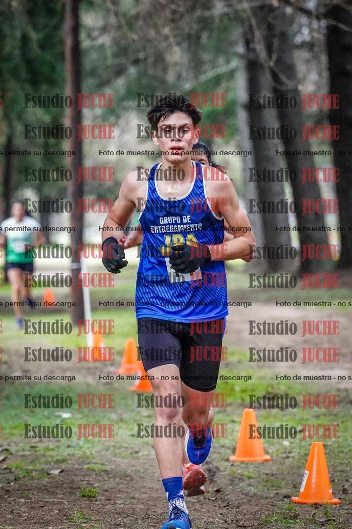 Fotos en el circuito