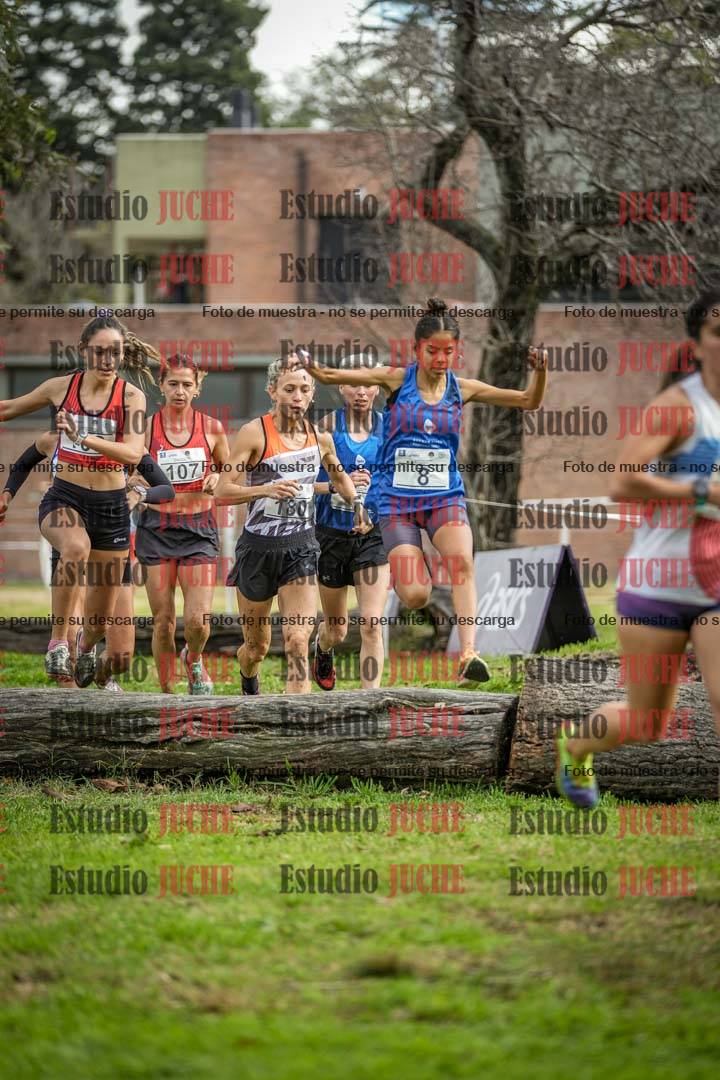 Fotos en el circuito