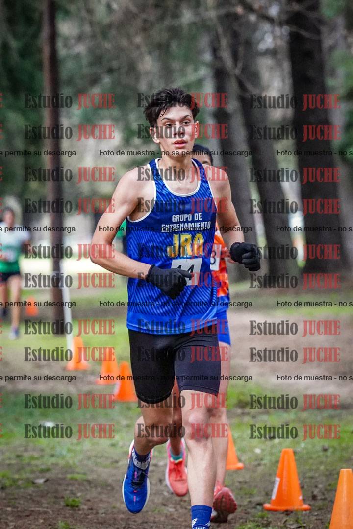Fotos en el circuito