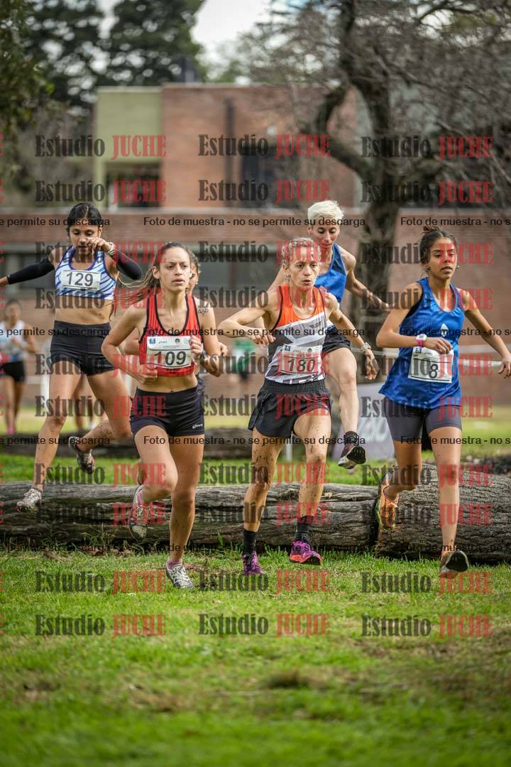 Fotos en el circuito