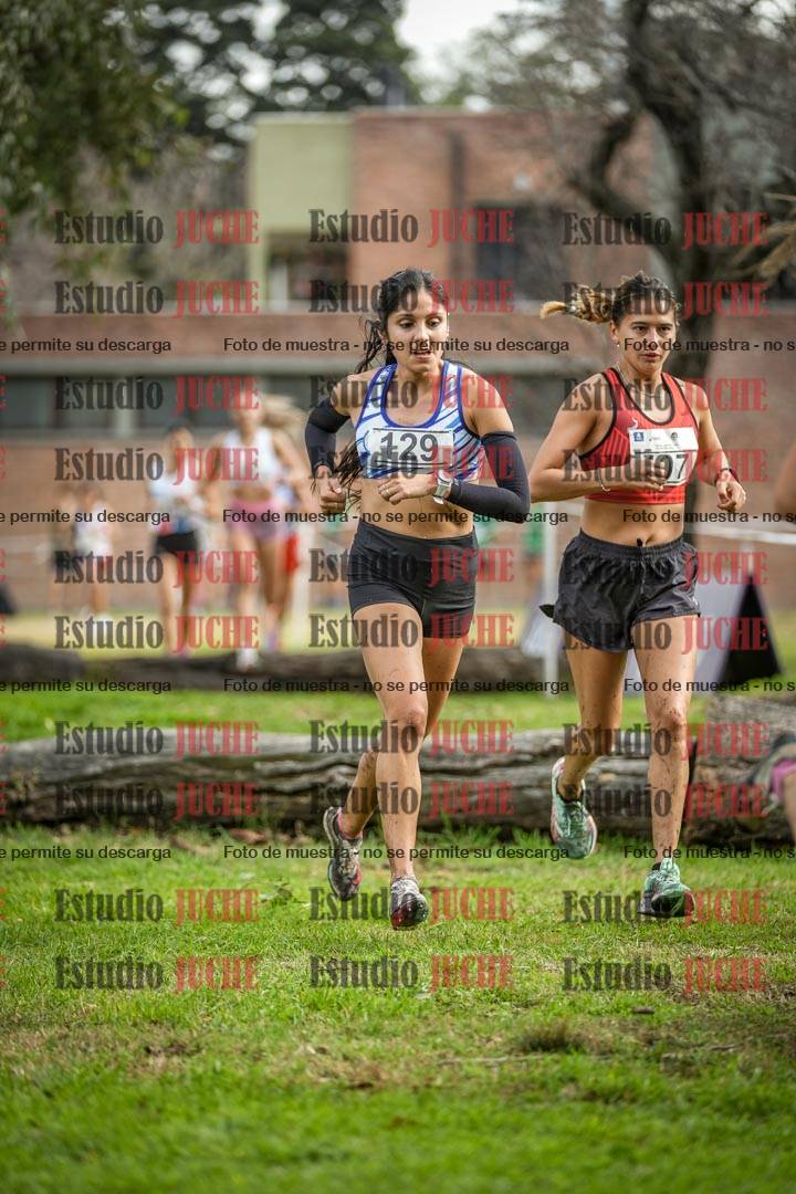 Fotos en el circuito