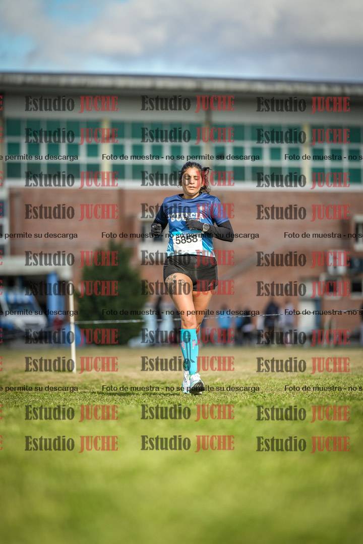 Fotos en el circuito