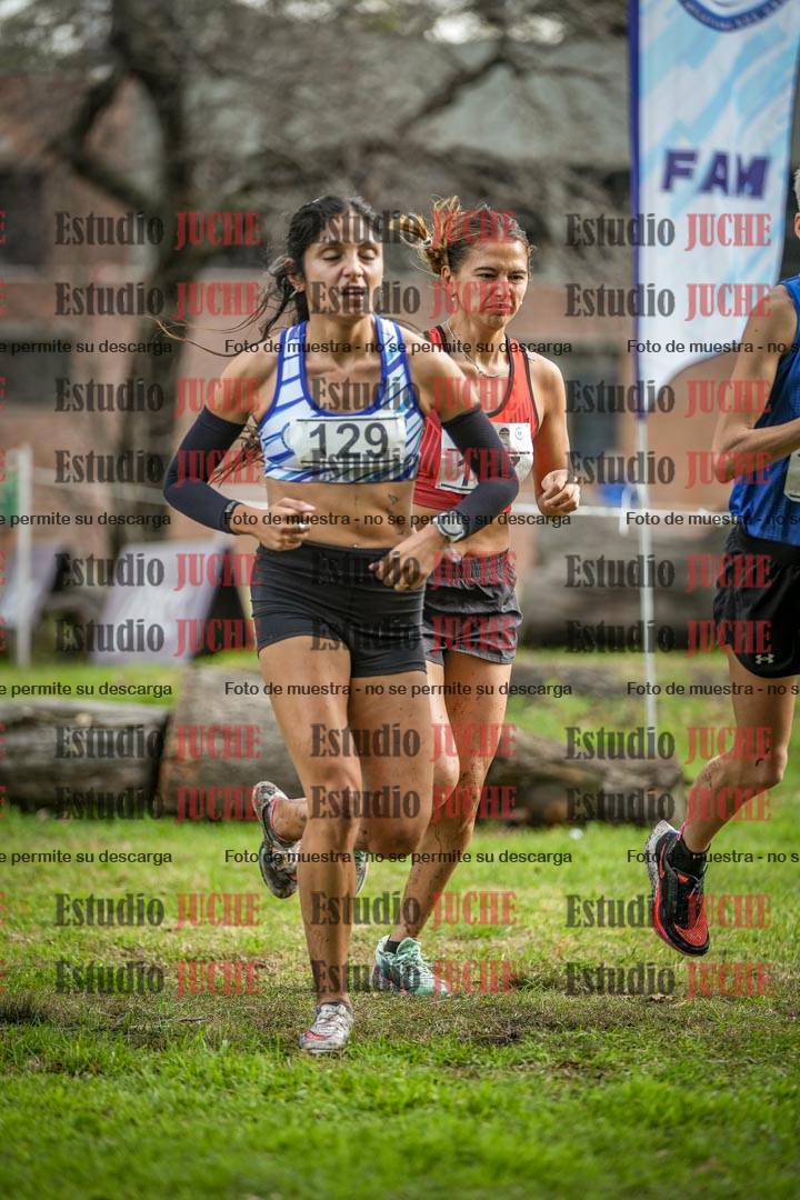 Fotos en el circuito