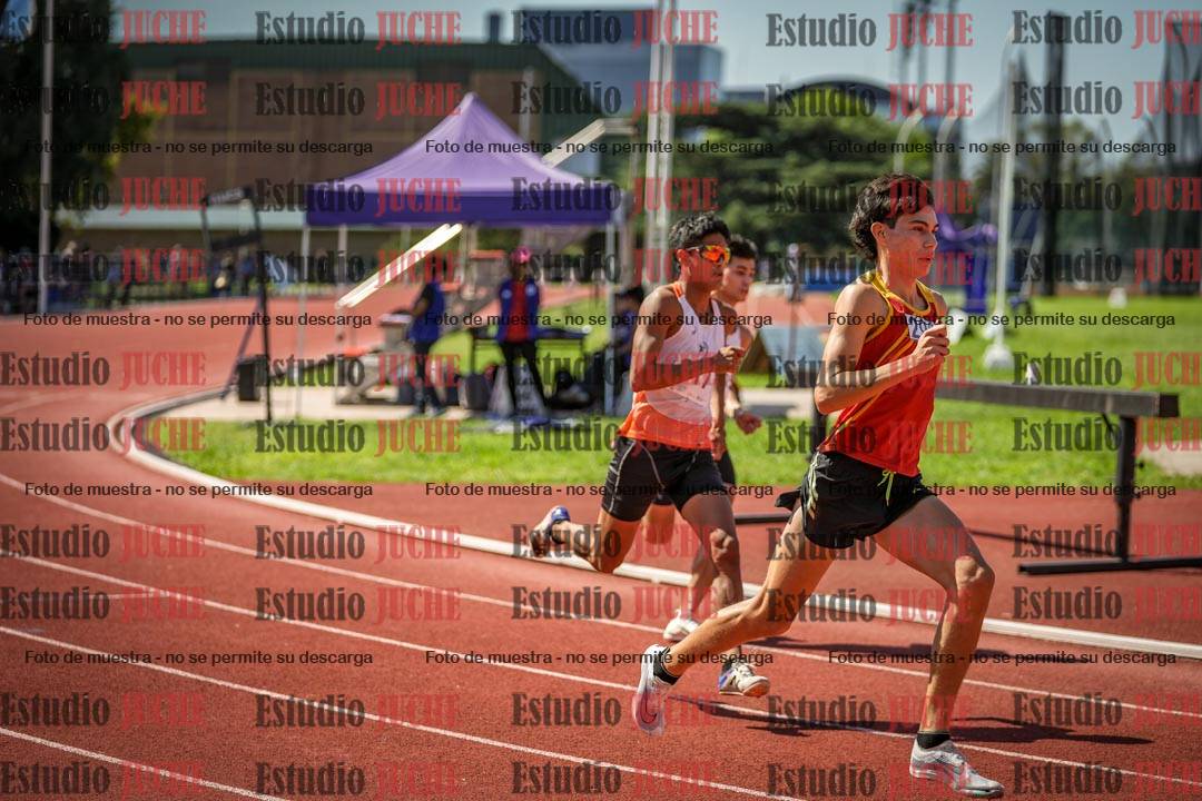 Fotos de los 800 m llanos de varones