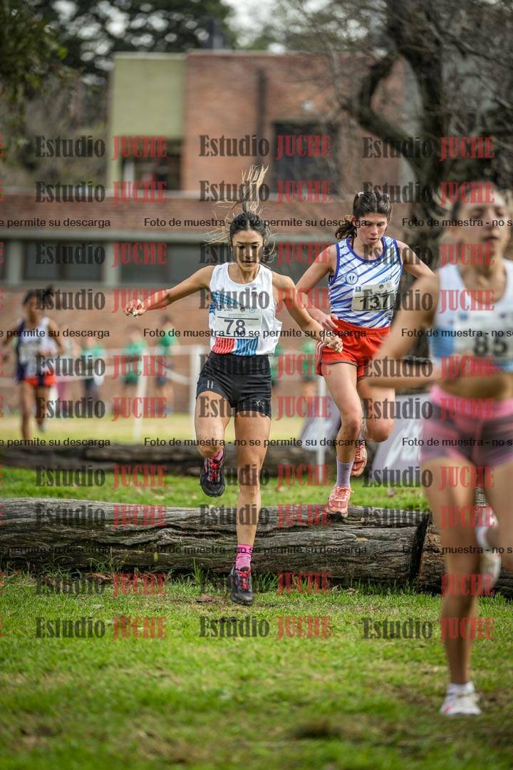 Fotos en el circuito