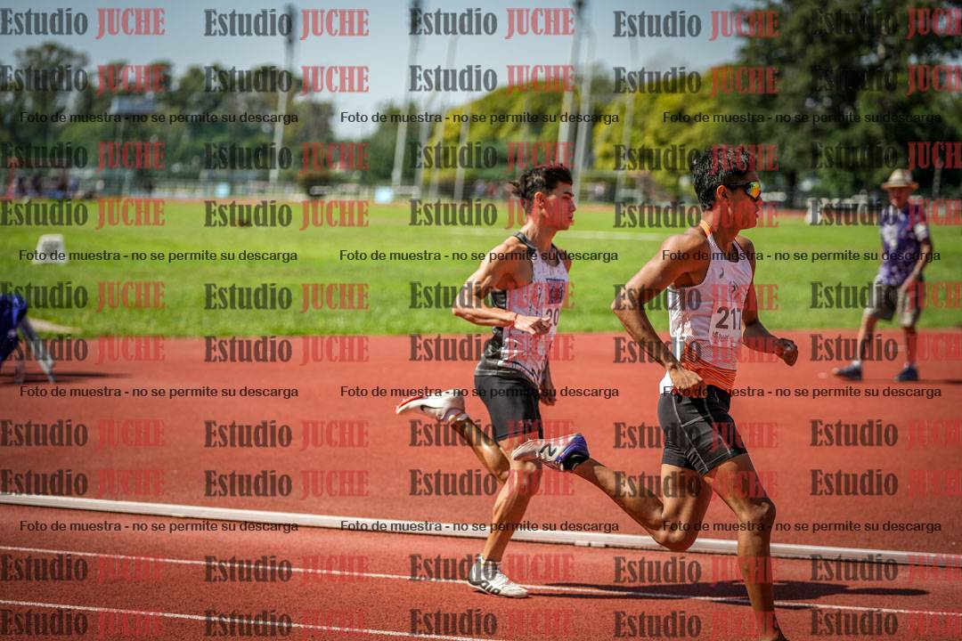Fotos de los 800 m llanos de varones