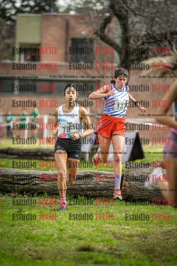 Fotos en el circuito