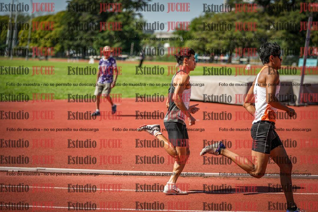 Fotos de los 800 m llanos de varones