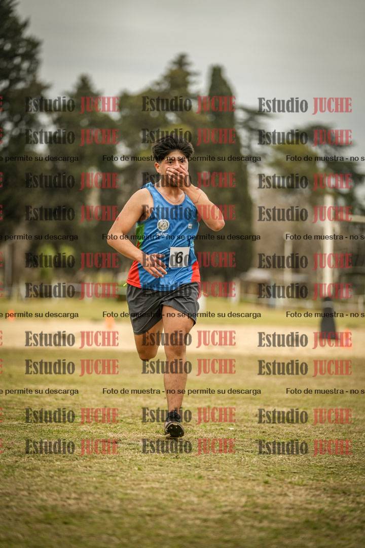 Fotos de la llegada