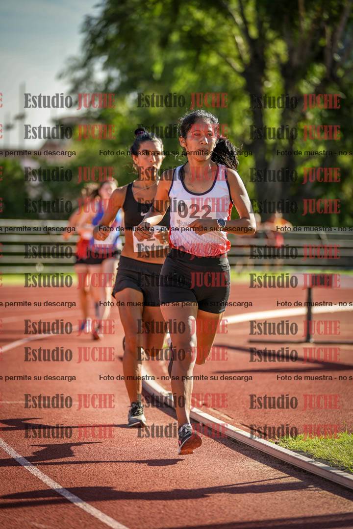 Fotos de los 1500 m llanos de mujeres