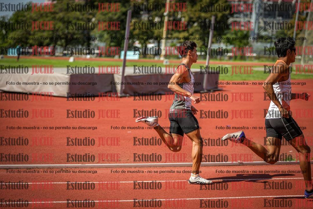 Fotos de los 800 m llanos de varones
