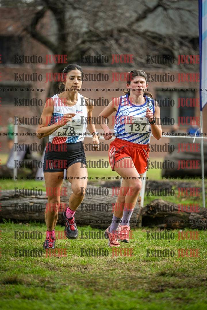 Fotos en el circuito