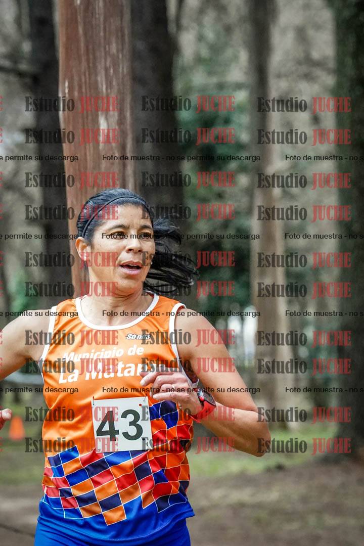 Fotos en el circuito