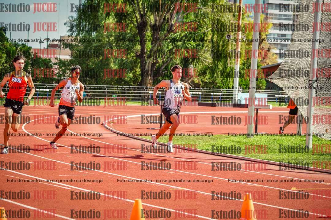 Fotos de los 800 m llanos de varones