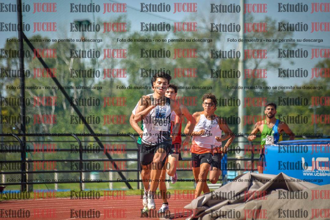 Fotos de los 800 m llanos de varones