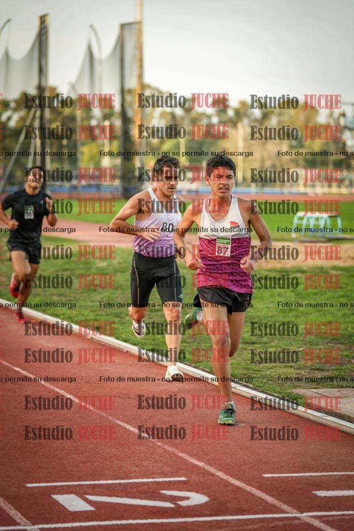 Fotos de los 3000 m llanos de varones