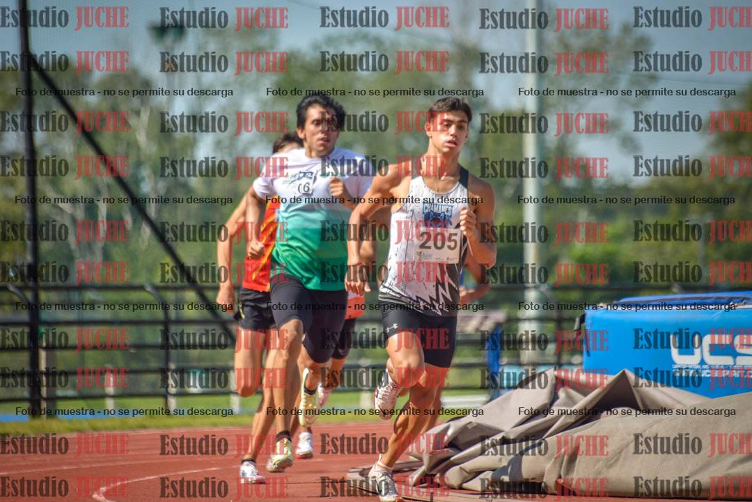 Fotos de los 800 m llanos de varones