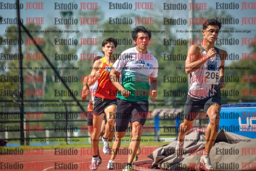 Fotos de los 800 m llanos de varones