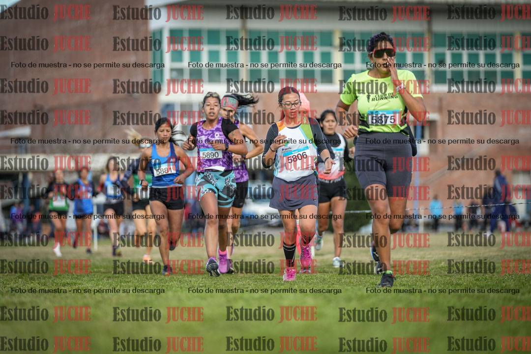 Fotos en el circuito