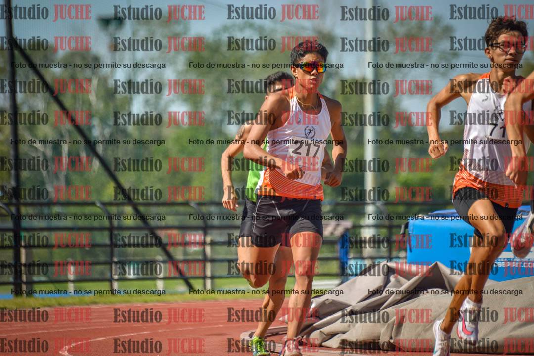 Fotos de los 800 m llanos de varones